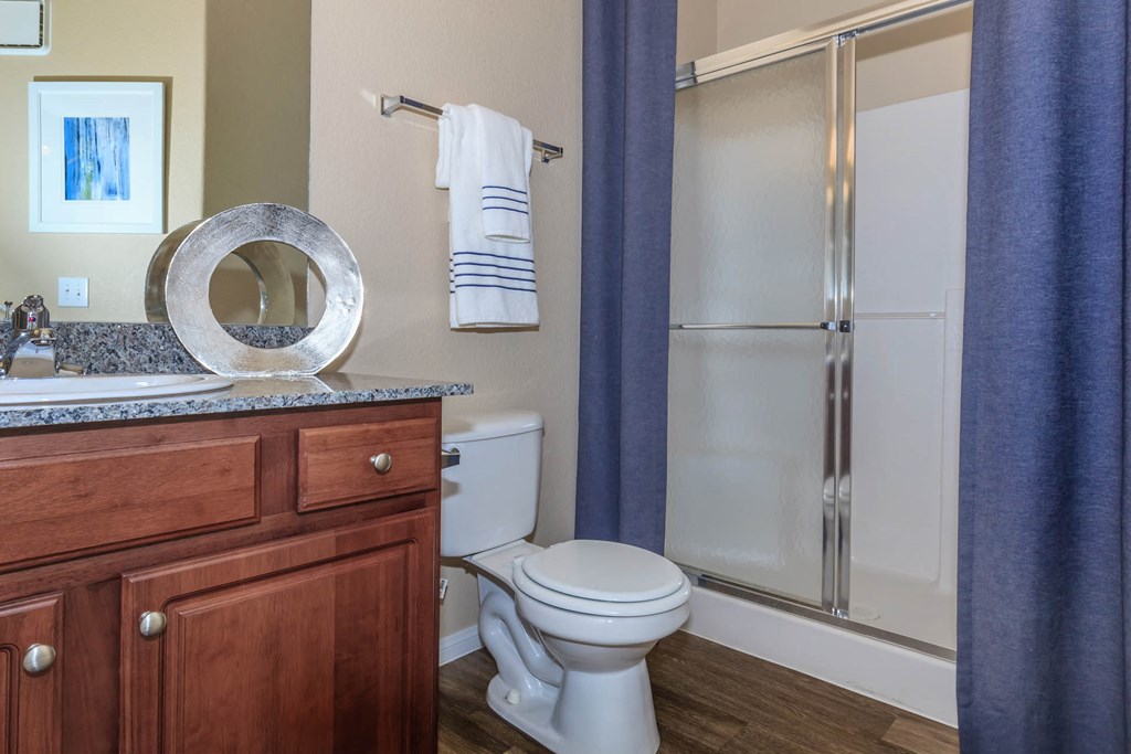 Bathroom at The Equestrian by Picerne, Nevada