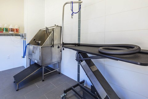 Pet bath at Level 25 at Durango by Picerne, Las Vegas, NV, 89113