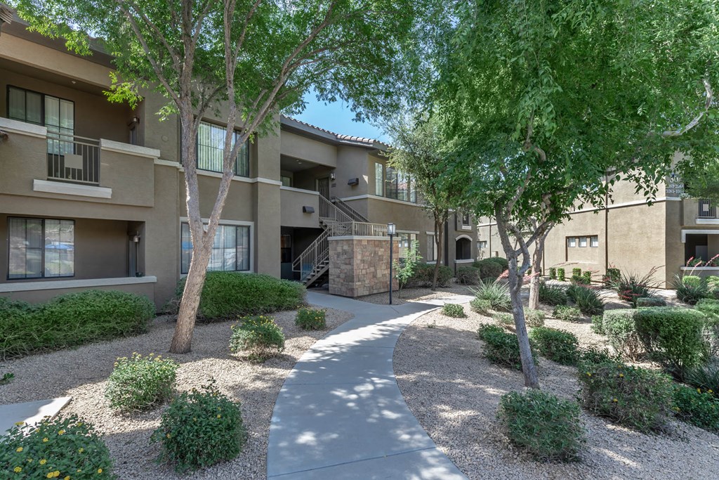 Outdoor area at The Paseo by Picerne, Arizona