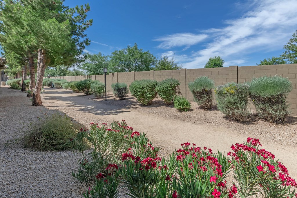 Garden at The Paseo by Picerne, Goodyear, AZ