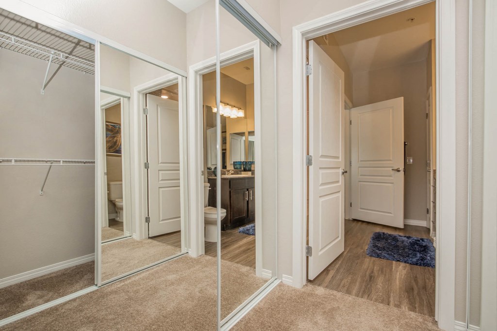 Closets at The Passage Apartments by Picerne, Nevada