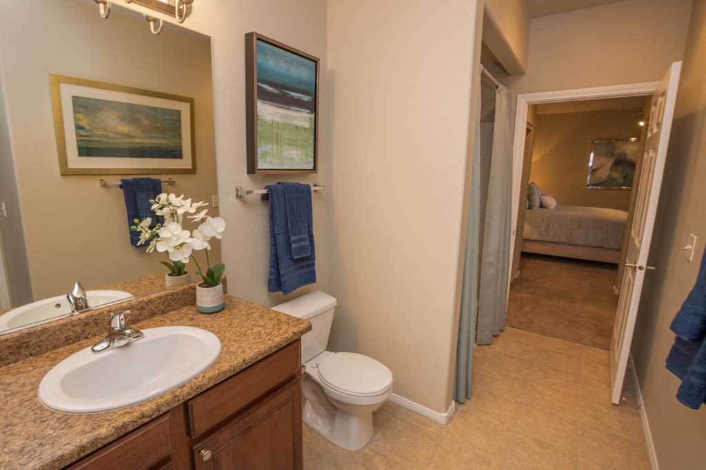 Modern Bathroom Fittings at The Pavilions by Picerne, Las Vegas, Nevada