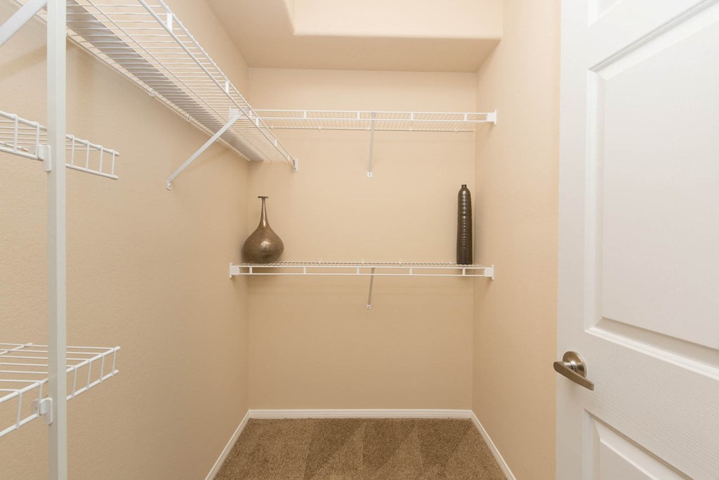 Large Closet at The Pavilions by Picerne, Las Vegas, 89166