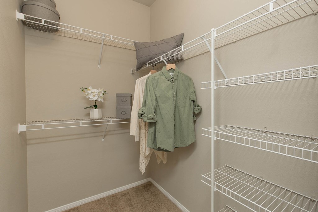 Closet at The Pavilions by Picerne, Las Vegas, NV, 89166