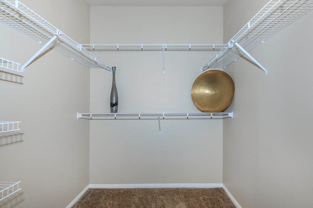 Large Closet at The Preserve by Picerne, Nevada, 89086