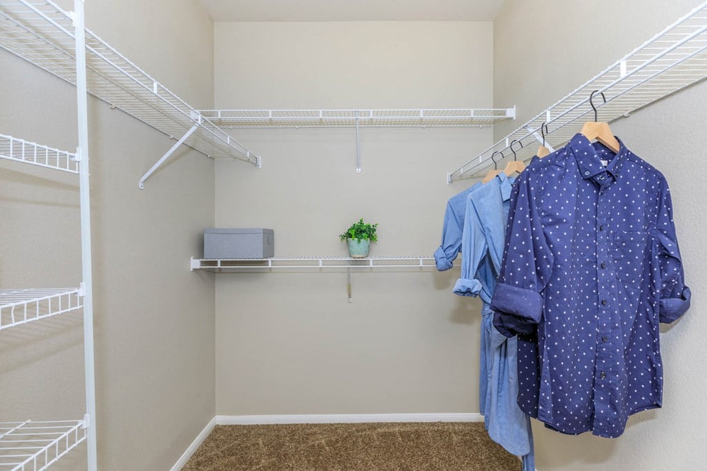 Walk-In Closets With Built-In Shelving at The Presidio by Picerne, Nevada, 89084