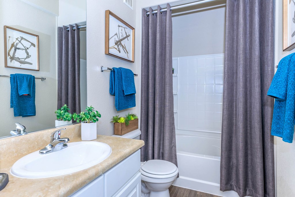 Bathroom With Bathtub at The Presidio by Picerne, Nevada