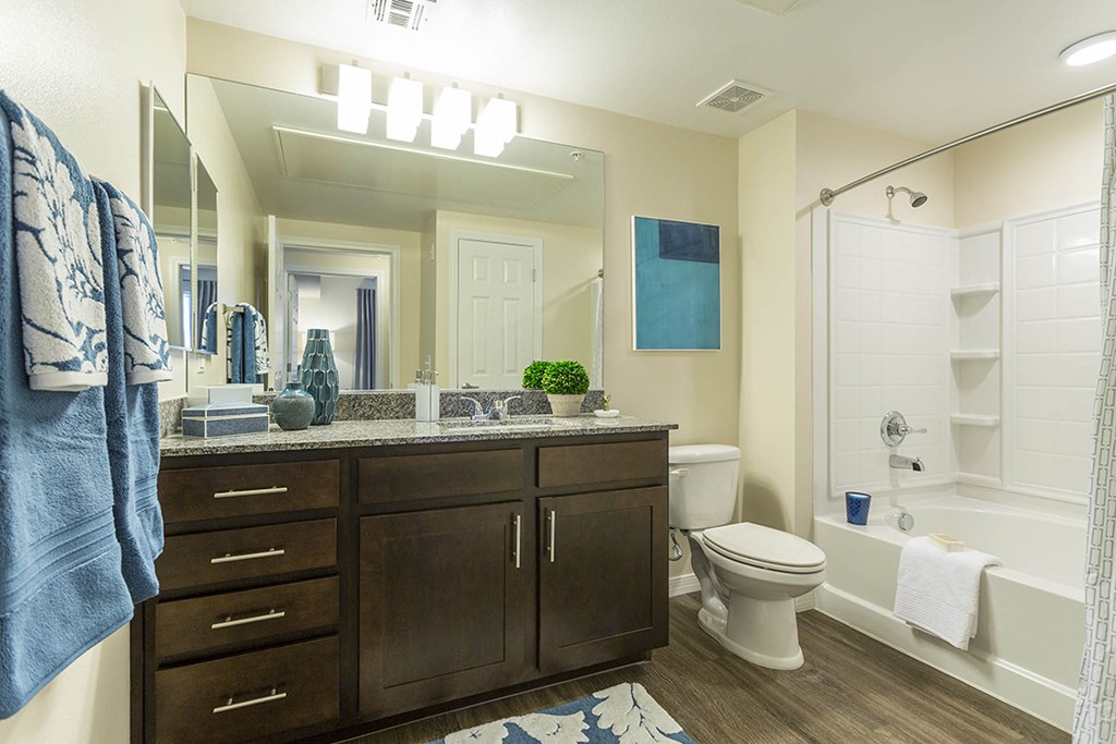 Bath at The View at Horizon Ridge, Henderson