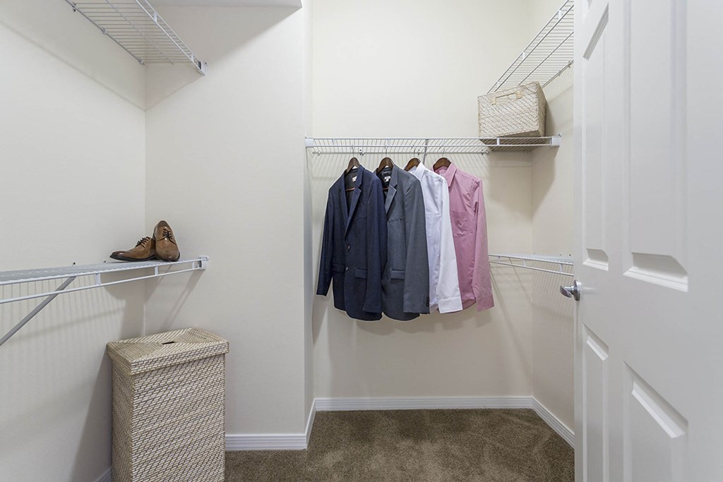 closet at The View at Horizon Ridge, Henderson, NV, 89012