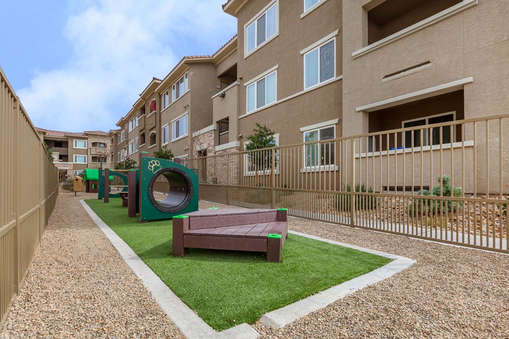 Play area for dogs1 at The View at Horizon Ridge, Henderson