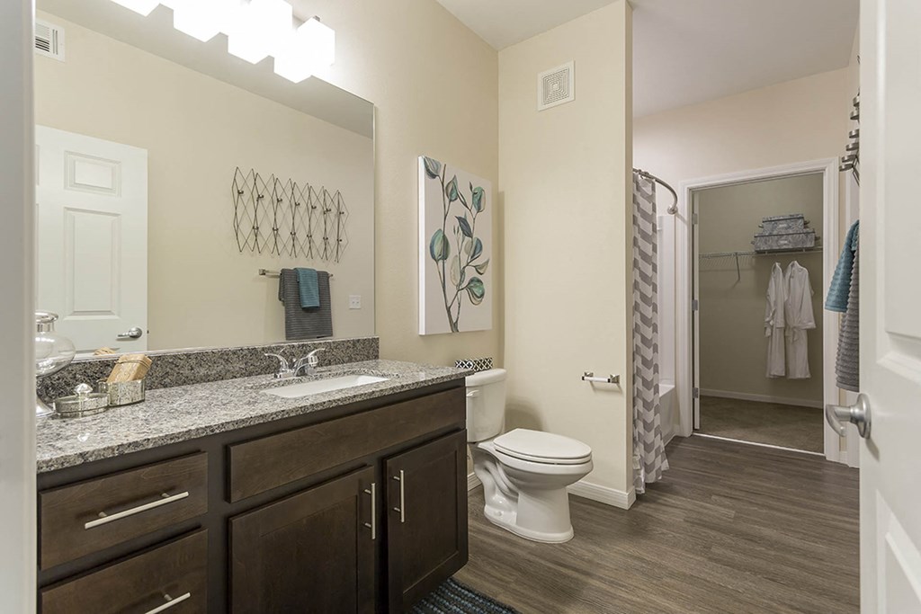 Bath at The View at Horizon Ridge, Henderson