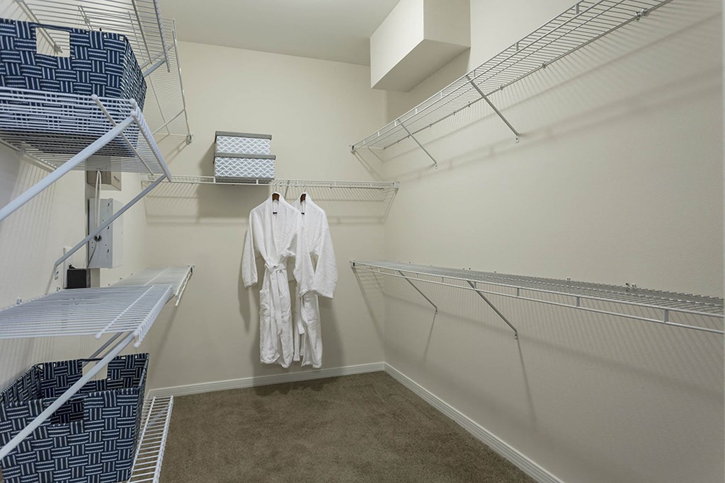 walk in closet  at The View at Horizon Ridge, Henderson