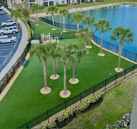 A row of palm trees are planted in a grassy area.