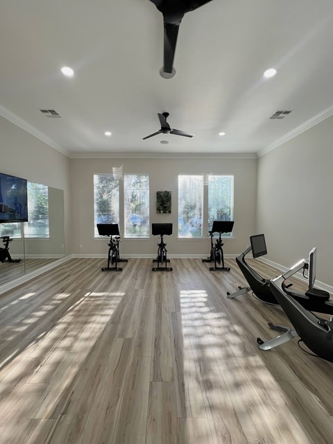 A spacious room with wooden floors and a row of exercise bikes.