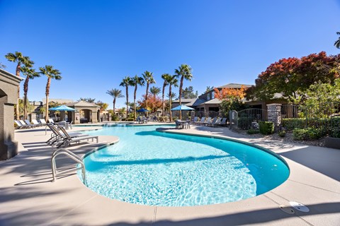 A large swimming pool surrounded by palm trees and lounge chairs.