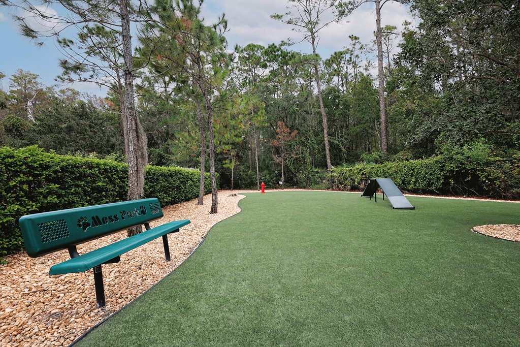 The Oasis At Moss Park