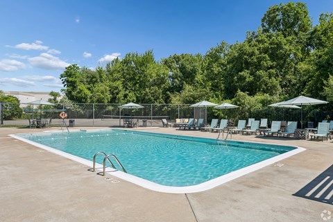 A large outdoor swimming pool surrounded by trees and lounge chairs.
