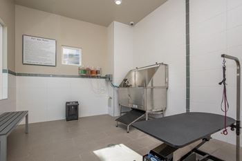 Pet Wash at The Passage by Picerne, Nevada
