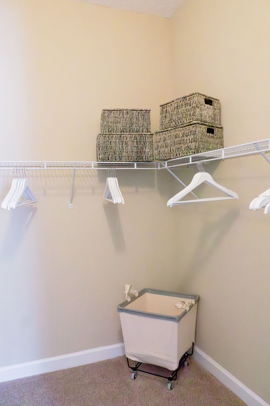 The Oasis At Moss Park