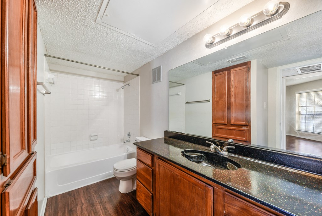 a bathroom with a sink and a toilet and a mirror