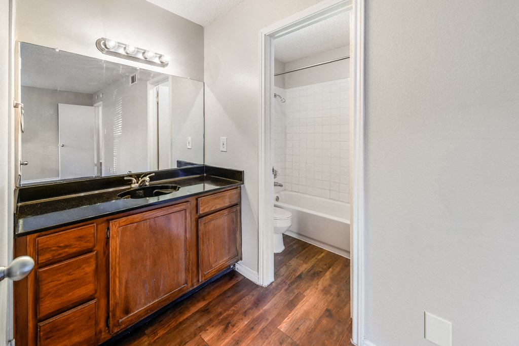 a bathroom with a sink and a mirror and a shower