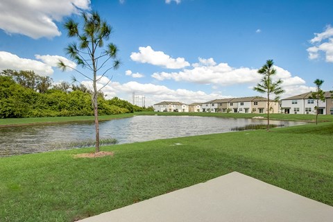 View from yard of the pond area at Beacon at Arbours in Ruskin, FL