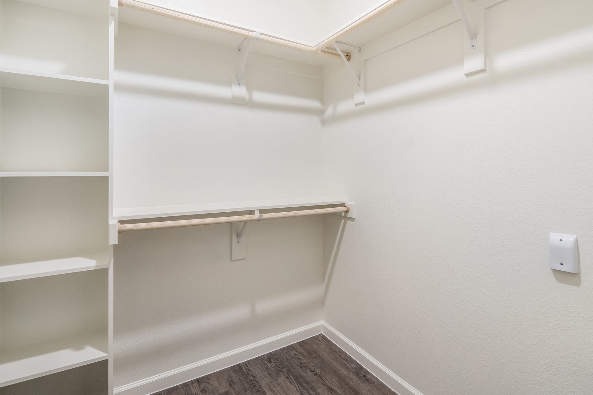 Cavalli At Iron Horse Station