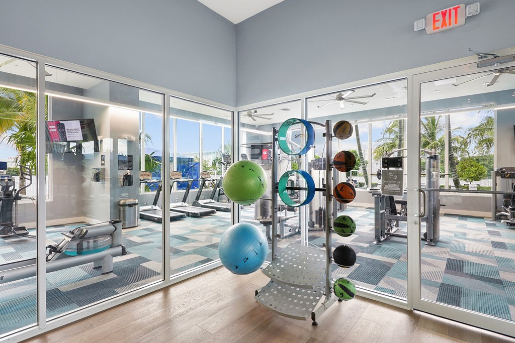 Fitness Center training and medicine balls, Blue Lagoon 7 in Miami, FL