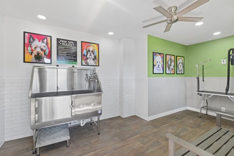 Pet Spa at Bandera Crossing in San Antonio, TX