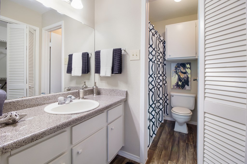Bathroom at Willow Brook Crossing Apartments in Houston, TX