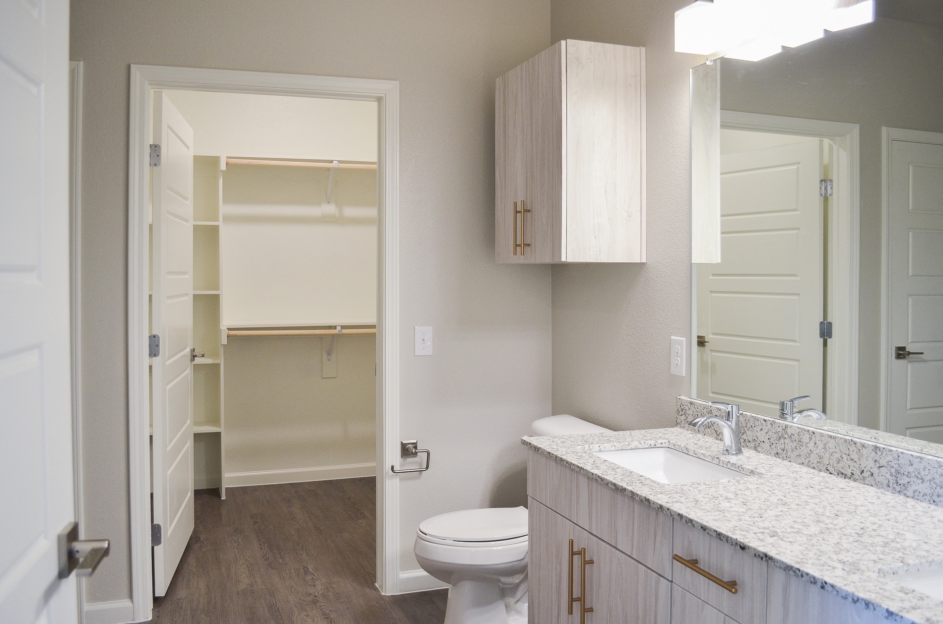 Cavalli At Iron Horse Station