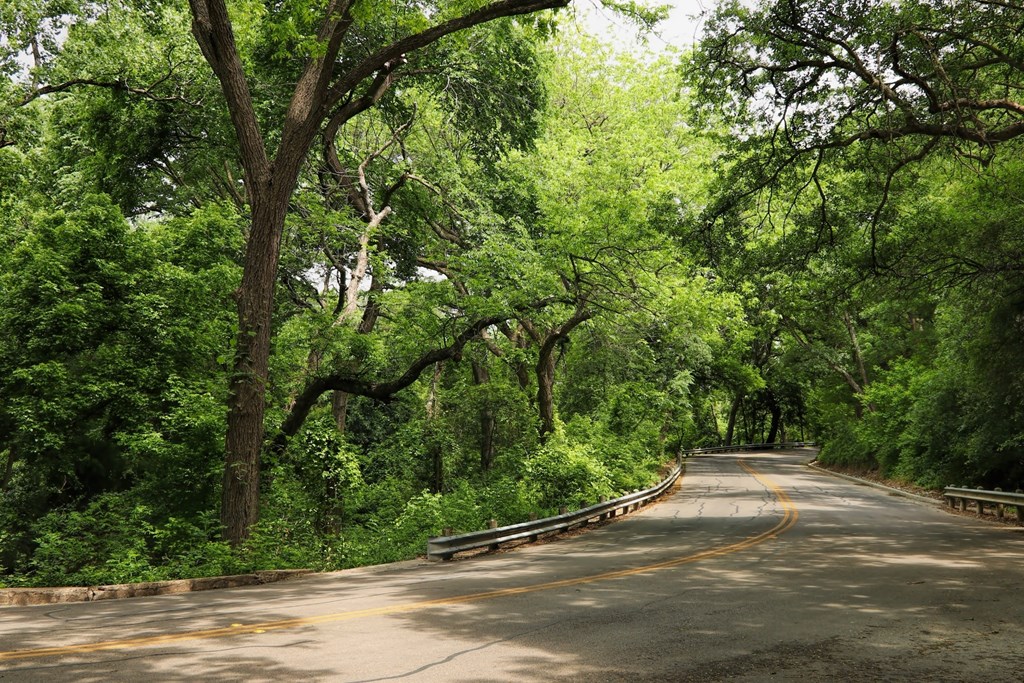 A tree-lined road curves to the right with a bench on the left side.