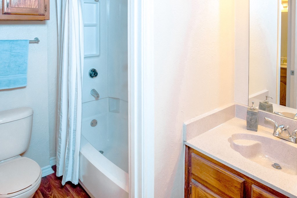 Model bathroom with a shower, sink and a toilet at Chisholm Place Apartments in Plano, TX
