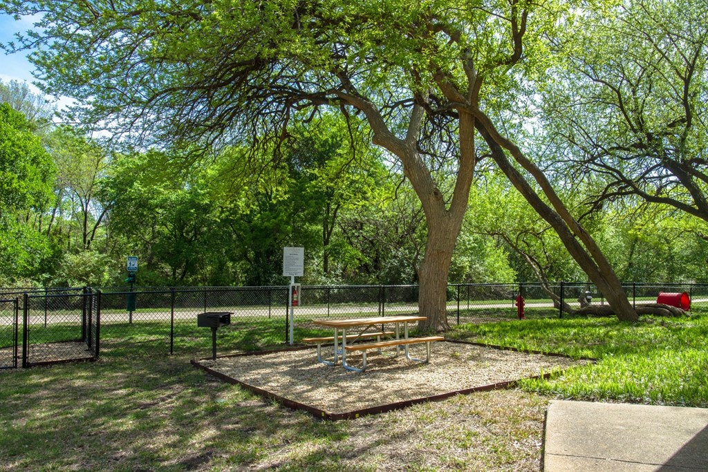 A picnic table with grill by a tree at Chisholm Place Apartments in Plano, TX
