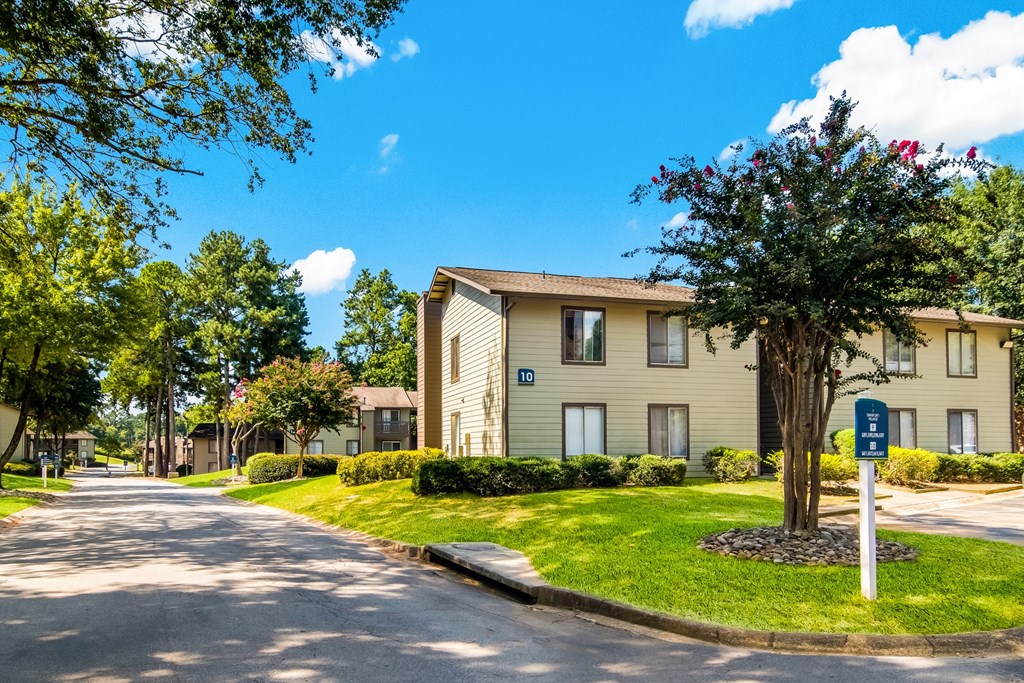 an apartment building with a street and a tree in front of it