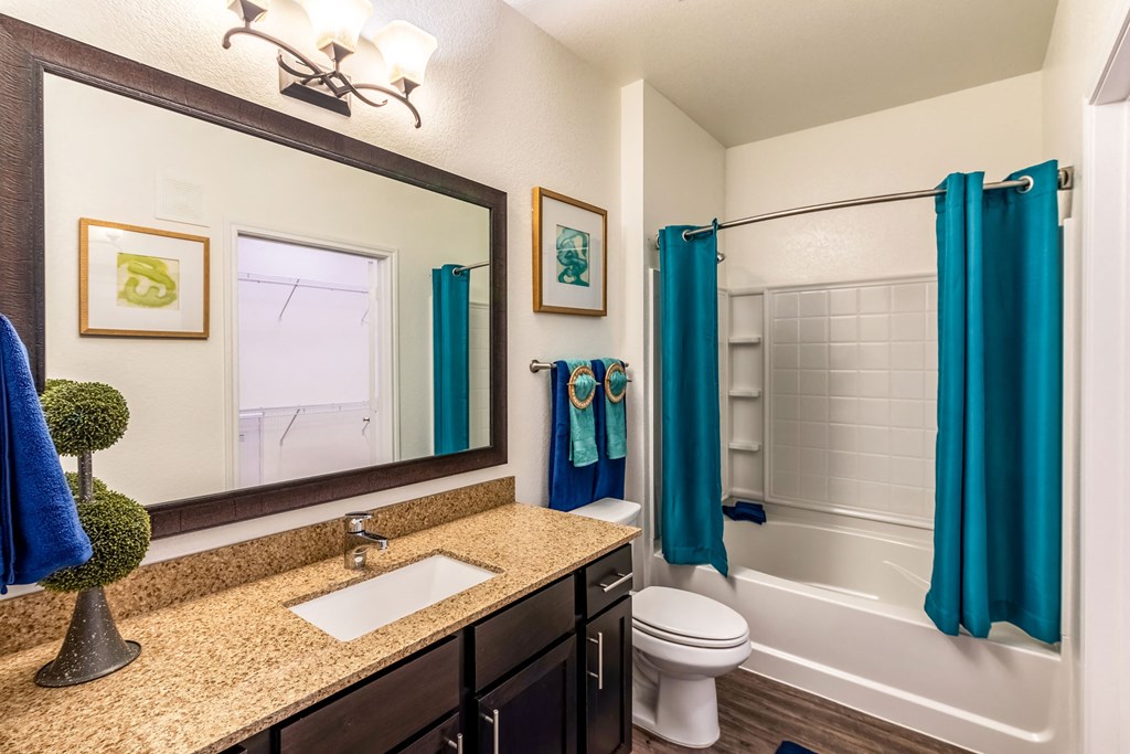a bathroom with a sink and a toilet and a shower