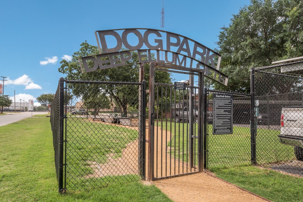 Dog Park - Deep Ellum Lofts, Dallas, Texas, TX