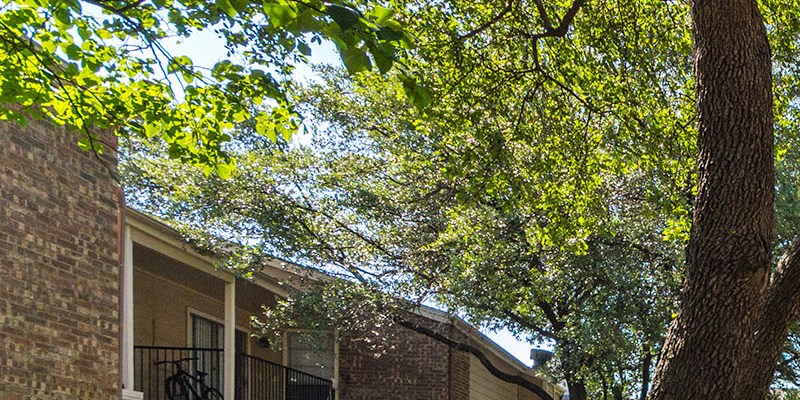 Apartments Under 800 In Dallas Tx Apartments Com
