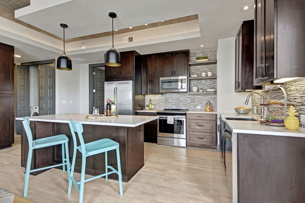 Custom Cabinetry In Kitchen at The Case Building, Dallas, TX