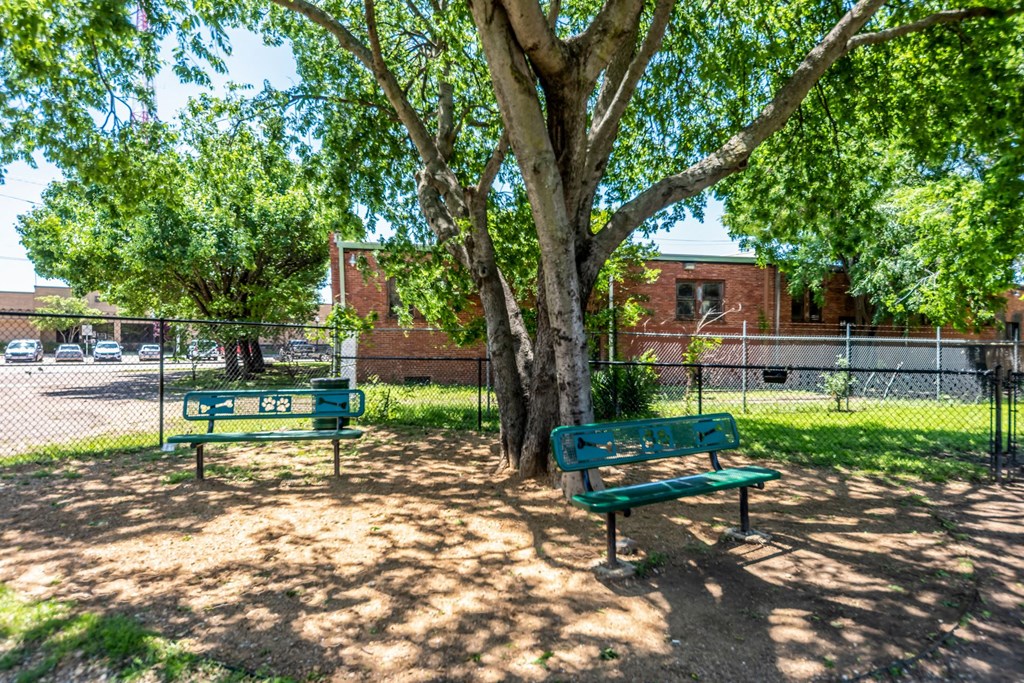 a couple of park benches sitting next to a tree