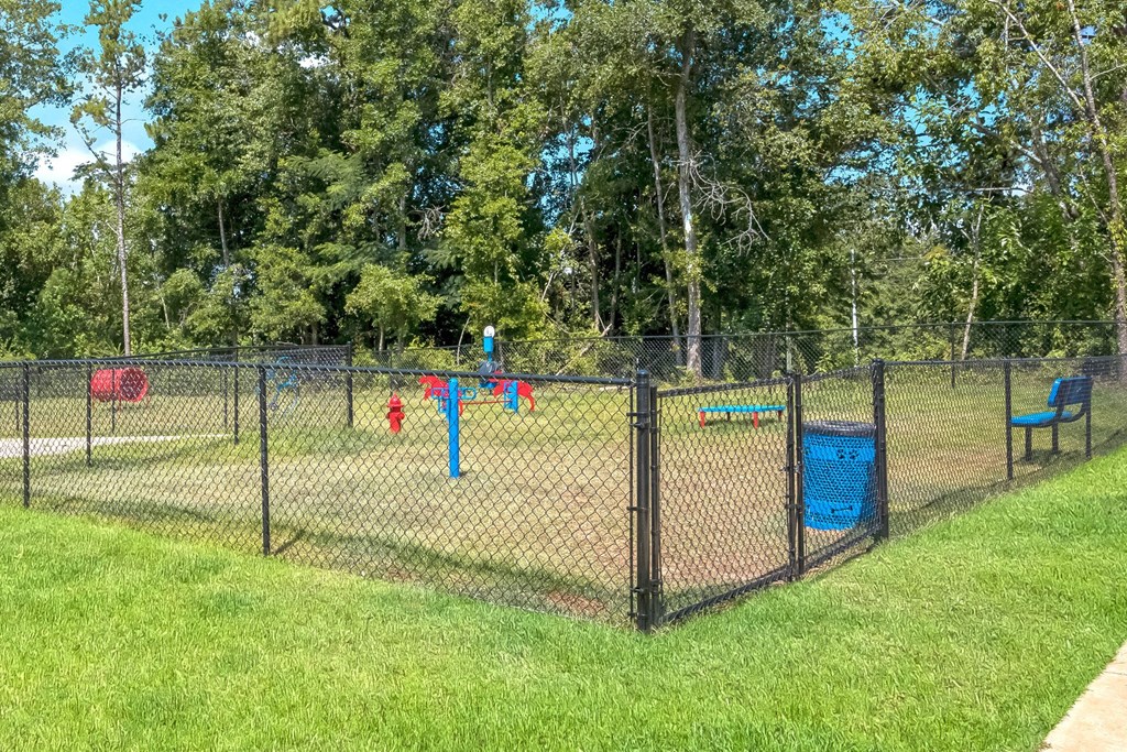a dog park with agility courses and agility ropes