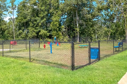 a dog park with agility courses and agility ropes