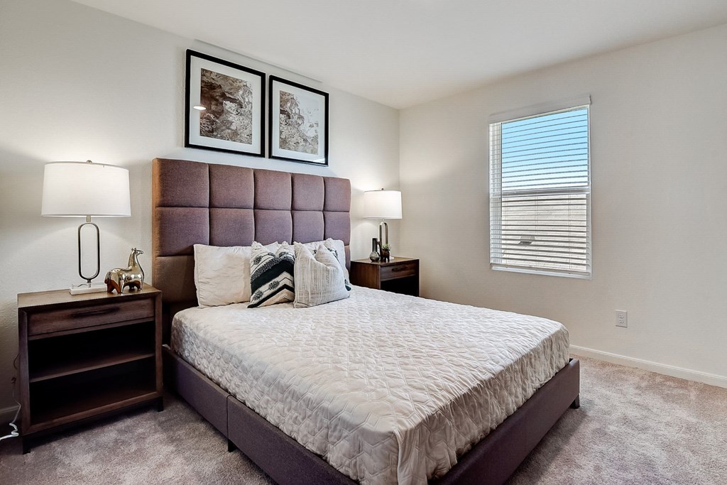 a bedroom with a large bed and a window