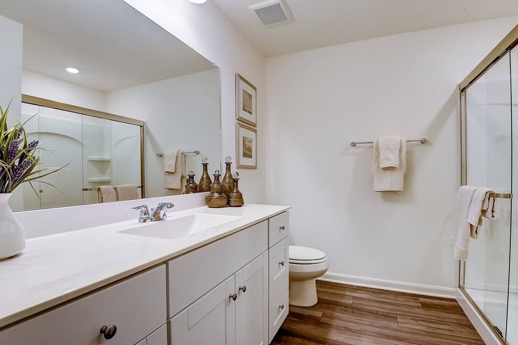 a bathroom with a sink and a toilet and a shower