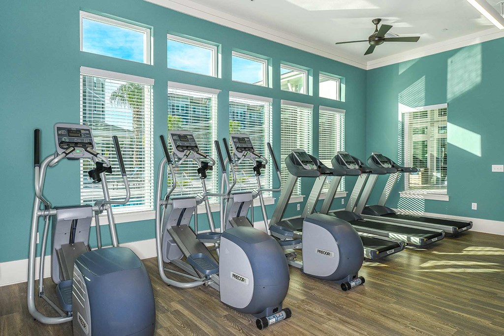 Fitness Center 4 at Dunedin Commons Apartment Homes in Dunedin, Florida, FL