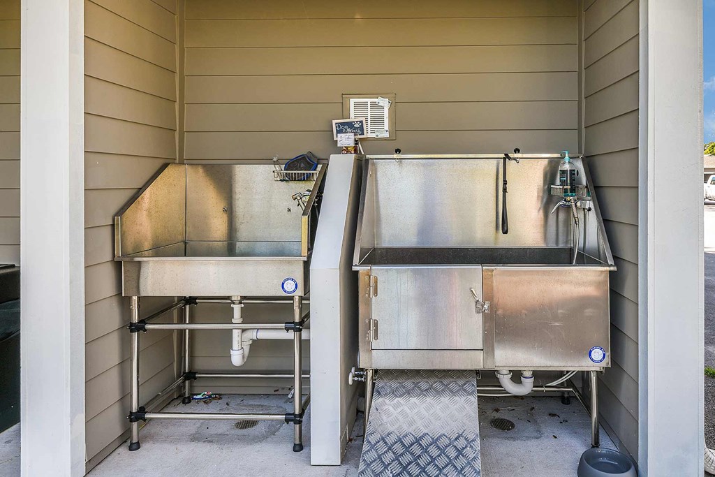 Dog Wash Station at  Dunedin Commons Apartment Homes in Dunedin, Florida, FL