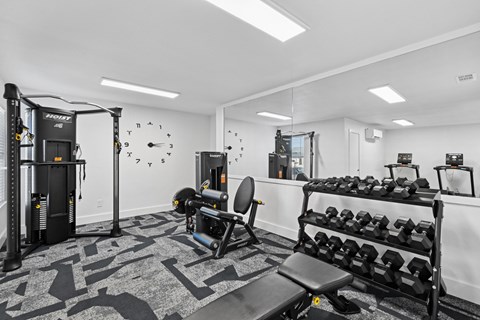 Estelle Creek Apartments in Irving, TX Fitness Center