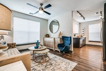 903 Ave C Studio-2 Beds Apartment for Rent - Photo Gallery 2