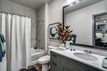 903 Ave C Studio-2 Beds Apartment for Rent - Photo Gallery 3