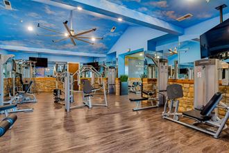 a gym with weights and cardio equipment and a sky ceiling